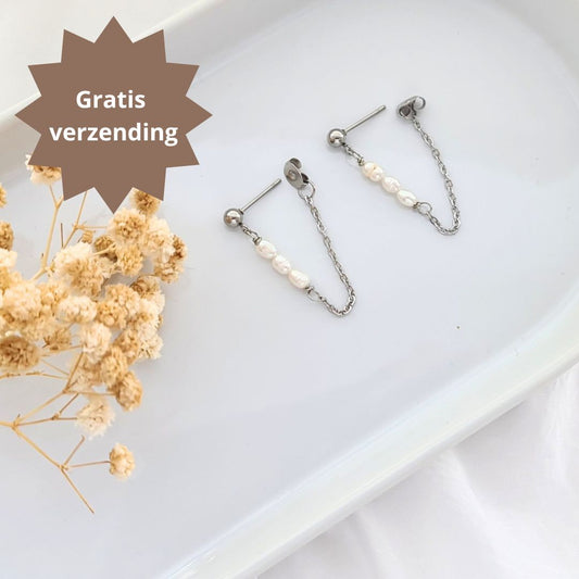 Stainless steel zilveren ketting oorbellen met zoetwaterparels